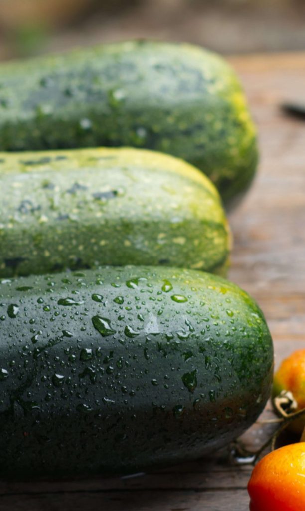 pienet kesäkurpitsat