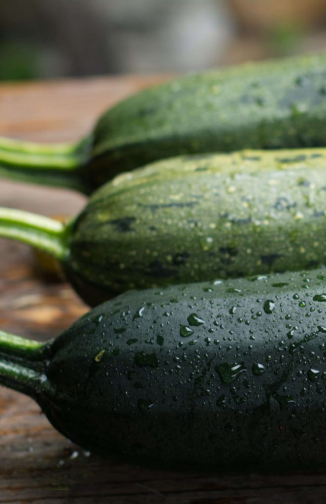 pienet täytetyt Kesäkurpitsat